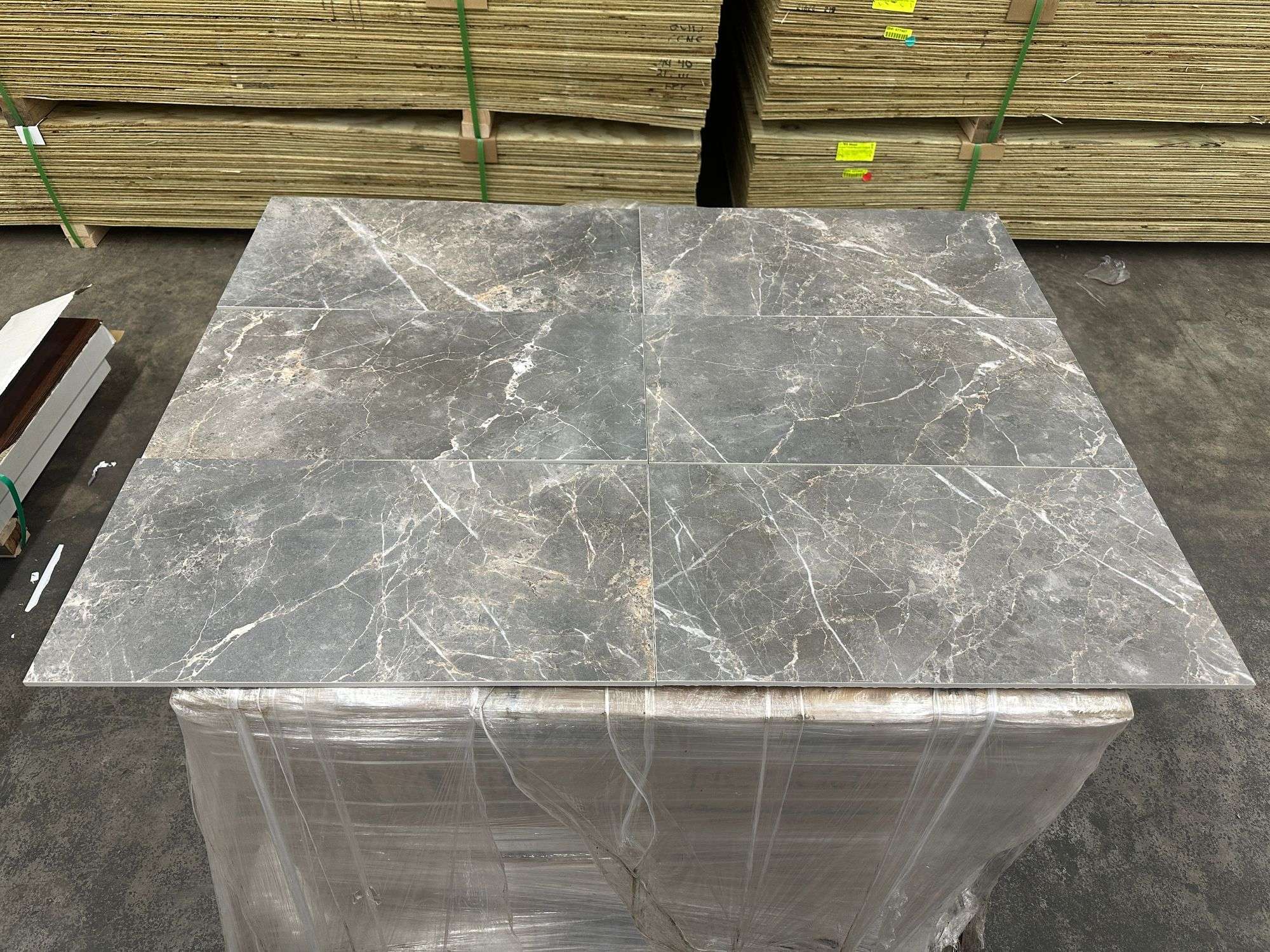 Charm Porcelain Tile 12x24 - Marble Look